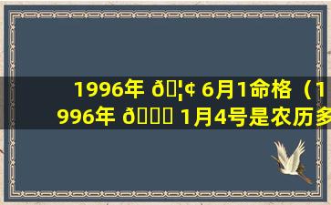 1996年 🦢 6月1命格（1996年 🐋 1月4号是农历多少）